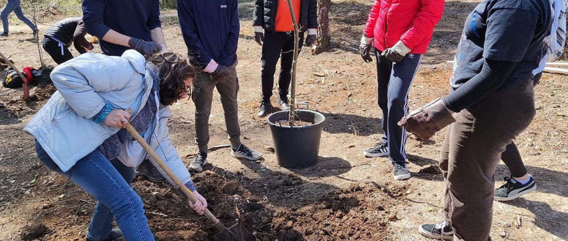 Young people planting a tree together as part of the Embodying Earth short course in Vietnam